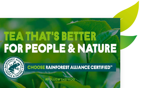 rainforest-alliance--thea-leafs.png