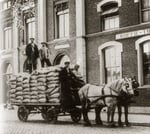 tortenelem
