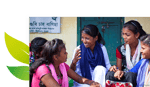ethical tea partnership tea leafs