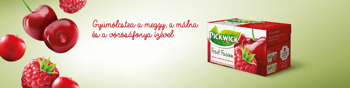 meggy malna vorosafonya