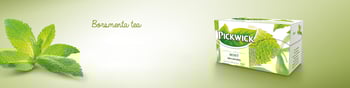 picwick herba tea borsmenta banner