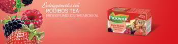 pickwick gyerekteak erdeigyumolcs rooibos banner