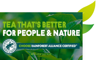 rainforest alliance tea leafs