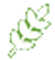 icon leaf